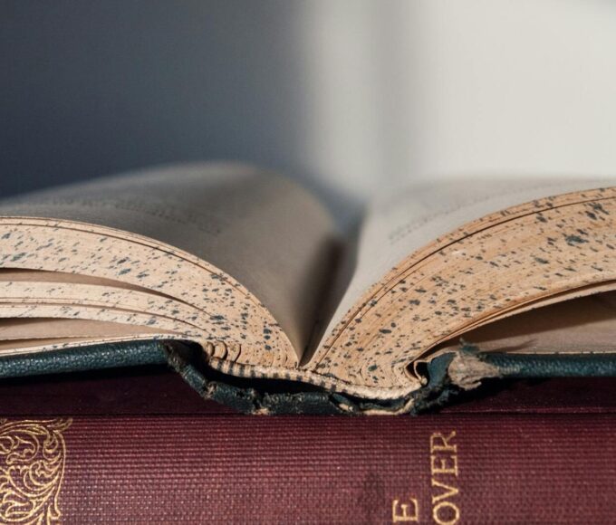 Vintage open book showing worn pages, close-up view. Ideal for literature and education themes.