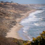Experience the natural beauty of Christchurch's rugged coastline with waves gently crashing on the shore.